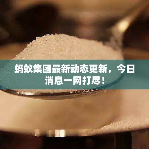 蚂蚁集团最新动态更新，今日消息一网打尽！