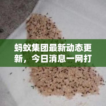 蚂蚁集团最新动态更新,今日消息一网打尽!