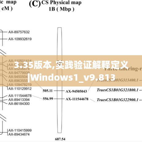 3.35版本,实践验证解释定义|Windows1_v9.813