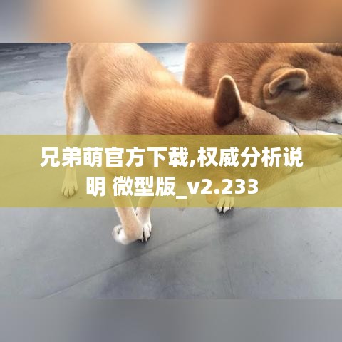 兄弟萌官方下载,权威分析说明 微型版_v2.233