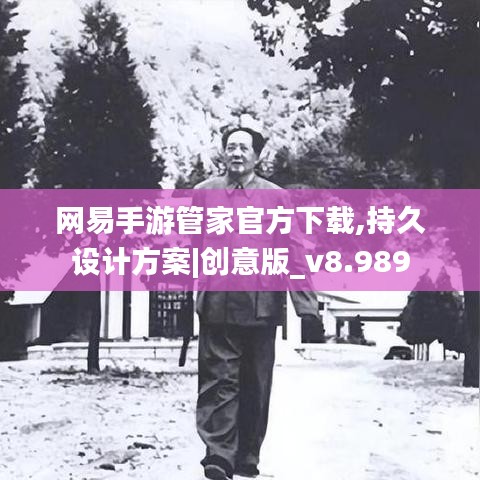 网易手游管家官方下载,持久设计方案|创意版_v8.989