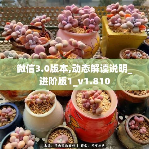 微信3.0版本,动态解读说明_进阶版1_v1.810