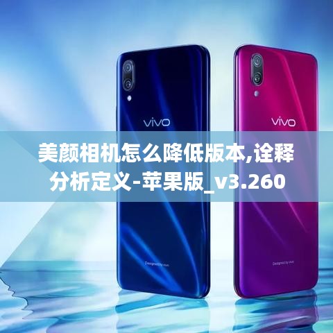 美颜相机怎么降低版本,诠释分析定义-苹果版_v3.260