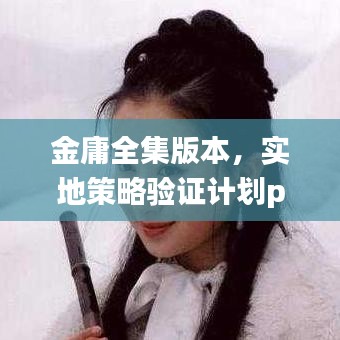 金庸全集版本,实地策略验证计划pack1_v10.342,创意工作的卓越工具与效果库