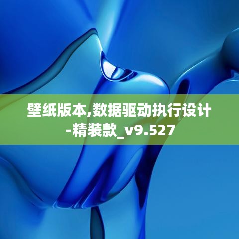 壁纸版本,数据驱动执行设计-精装款_v9.527
