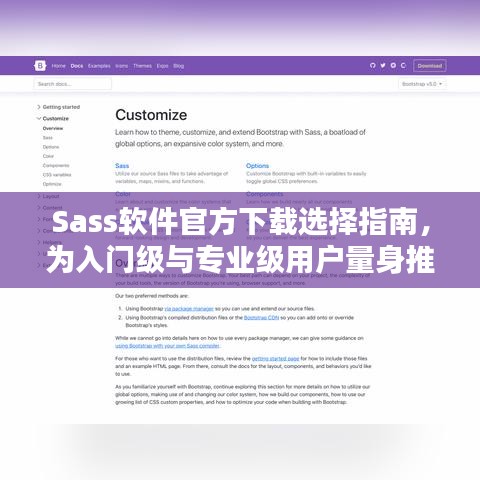 Sass软件官方下载选择指南，为入门级与专业级用户量身推荐