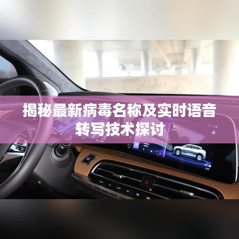 揭秘最新病毒名称及实时语音转写技术探讨