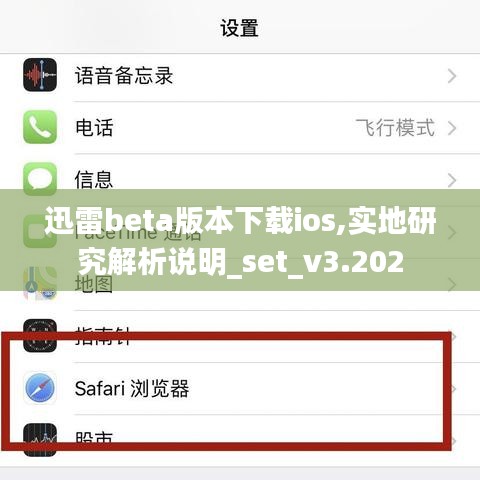 迅雷beta版本下载ios,实地研究解析说明_set_v3.202