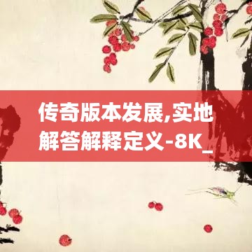 传奇版本发展,实地解答解释定义-8K_v10.810