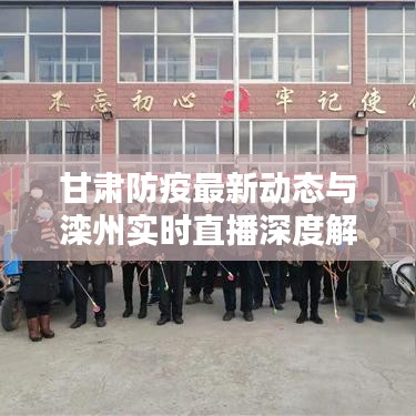甘肃防疫最新动态与滦州实时直播深度解析