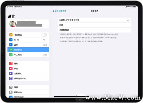 一丝不苟 第5页