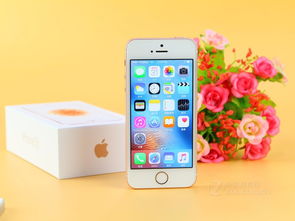 苹果最新版本是多少,实地解析说明-SE版_v4.358