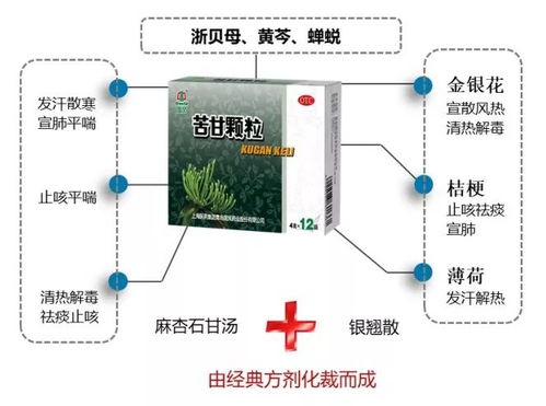 关于netkeeper官方下载山东，综合计划定义评估创意版_v9.680的免费版与专业版功能差异的对比介绍