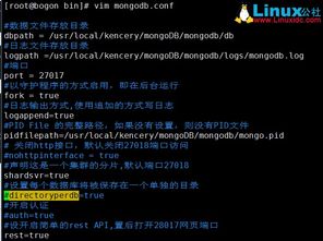 怎么更新qq新版本,全面解析数据执行-Linux_v5.670
