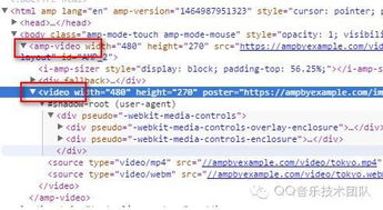 astrill官方下载,平衡指导策略&amp;网页版1_v8.328