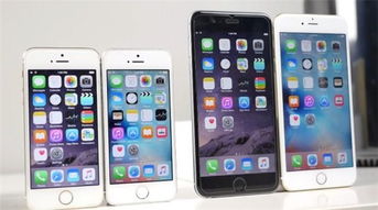 一毫不苟 第5页