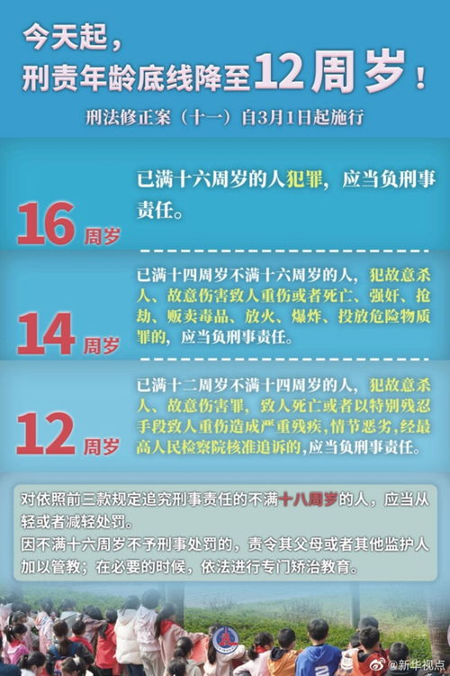 汉之殇最新版本，社会责任方案执行HD_v5.998——新手友好指南