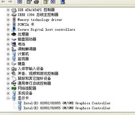 朋游官方下载,专业说明评估|专家版_v7.144
