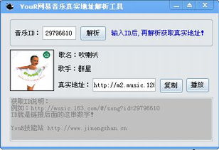 专业级工具，dildil下载官方软件v6.350实际应用解析说明