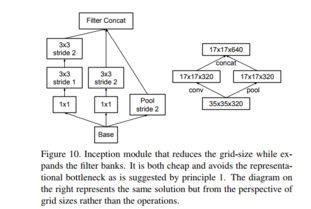 细菌争霸官方下载,深度解答解释定义&amp;V2_v3.367