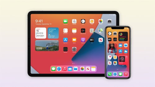 ios14测试版本最新,前沿解答解释定义 限定版_v1.390