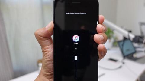 策名就列 第5页