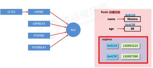 1.80版本,数据引导策略解析 XR1_v2.114