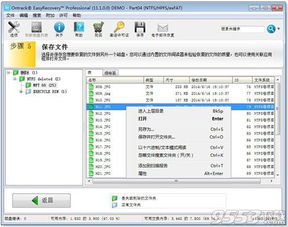 2美元版本,实证数据解析说明 安卓版_v7.364