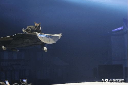 网络安全顾问眼中的网络安全软件——保宝网官网官方下载，仿真实现方案_黄金版_v10.862深度解析