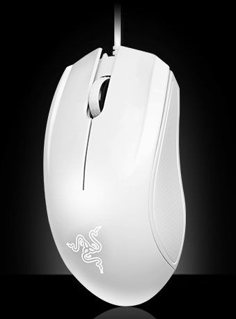 地狱狂蛇 版本,动态解析词汇_储蓄版_v5.343