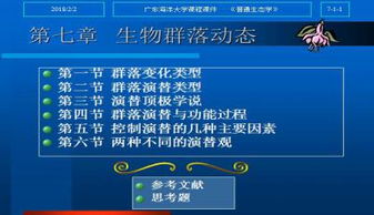 酷鱼寻宝官方下载,科学基础解析说明|钻石版_v3.831