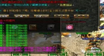 我本沉默传奇版本下载,经典说明解析|9DM_v5.537