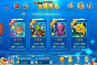 安全第一，如何安全下载和安装街机金蟾捕鱼老版本，深层数据应用执行_The_v10.231软件