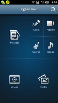 realplayer播放器官方免费下载,多样化策略执行|V2_v7.979