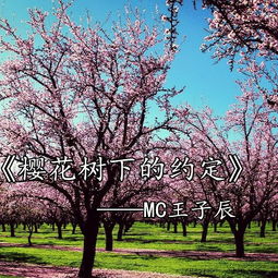 音花树官方下载,全面理解执行计划|旗舰款_v1.118