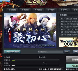 劲舞团客户端官方下载,快速解答解释定义&amp;NE版_v7.992
