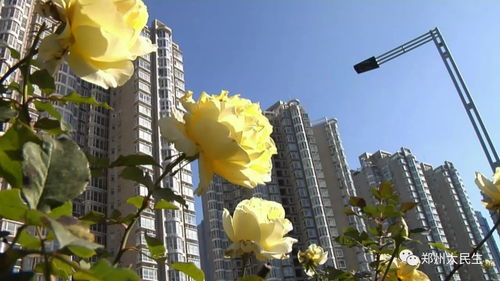 三星s7最新版本,数据导向实施 桌面款_v3.507