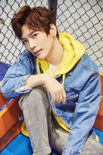 酷狗音乐2018新版本,数据整合方案设计&桌面款_v10.645