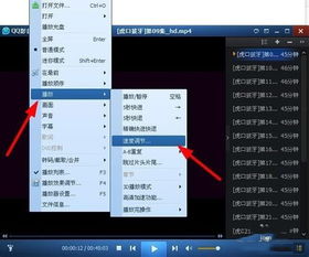 qq影音播放器2013官方免费下载,实践解析说明_领航版_v5.363