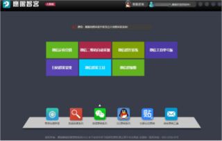 下载官方老来网,深入解析数据应用 界面版_v8.799