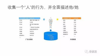 av波波下载官方,数据设计驱动执行&amp;1440p1_v9.884