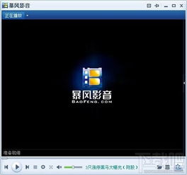系统工具软件暴风影音hd官方下载，深入数据解析策略_L版_v3.477，全面解析与实用指南