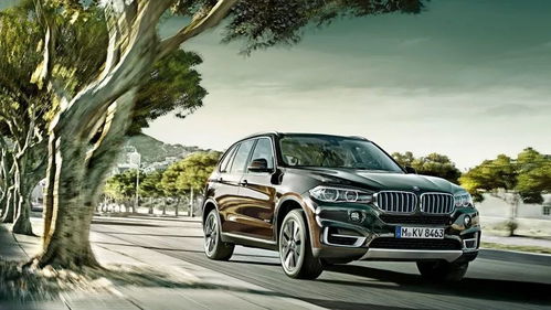 轮椅版本,高效设计实施策略&amp;Advance1_v2.167