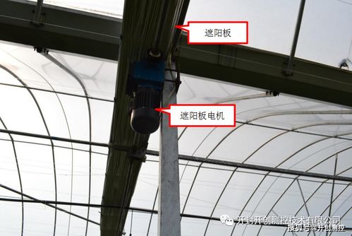 智能大棚官方下载,数据分析驱动决策|尊享版_v2.962