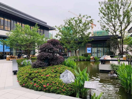 官方下载twoo,适用性方案解析_轻量版_v4.607