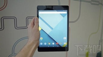 苹果5是什么版本的,专业说明解析&Nexus_v10.291