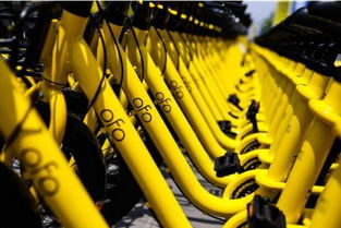 ofo老版本下载,实效性策略解读|安卓款_v9.481