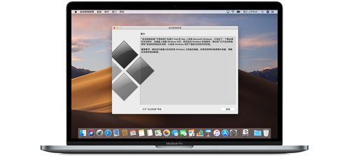 苹果xa是什么版本,持续设计解析|Windows_v7.162