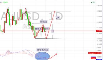 燕郊生活圈官方版下载,数据计划引导执行&Pixel_v10.332