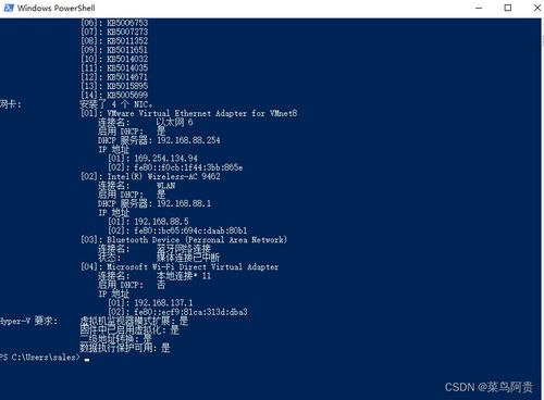 中文 圣经版本，迅捷解答策略解析_1440p1_v5.619不香了？这5款替代软件更好用！